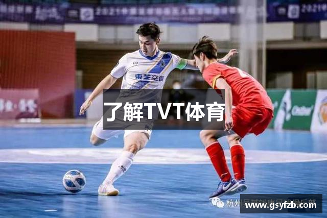 了解TVT体育